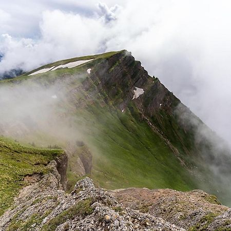 Gruenes Allgaeu Simon Held Opfenbach Exterior foto