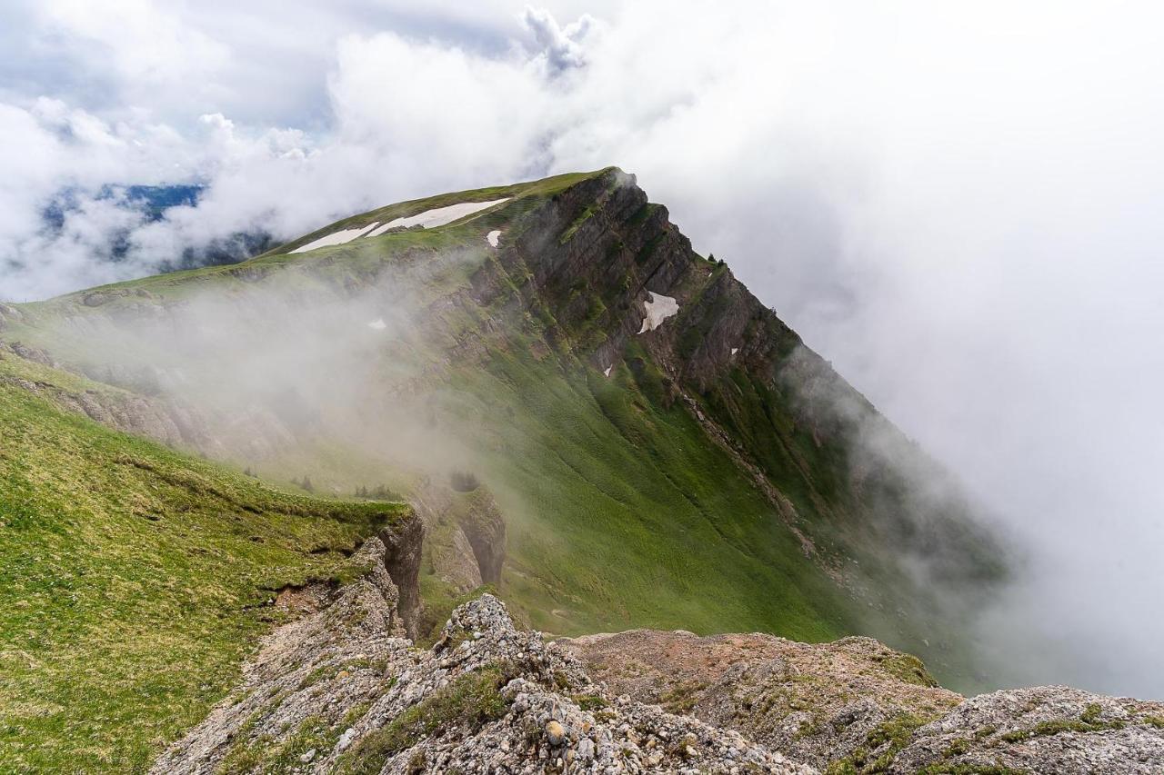 Gruenes Allgaeu Simon Held Opfenbach Exterior foto